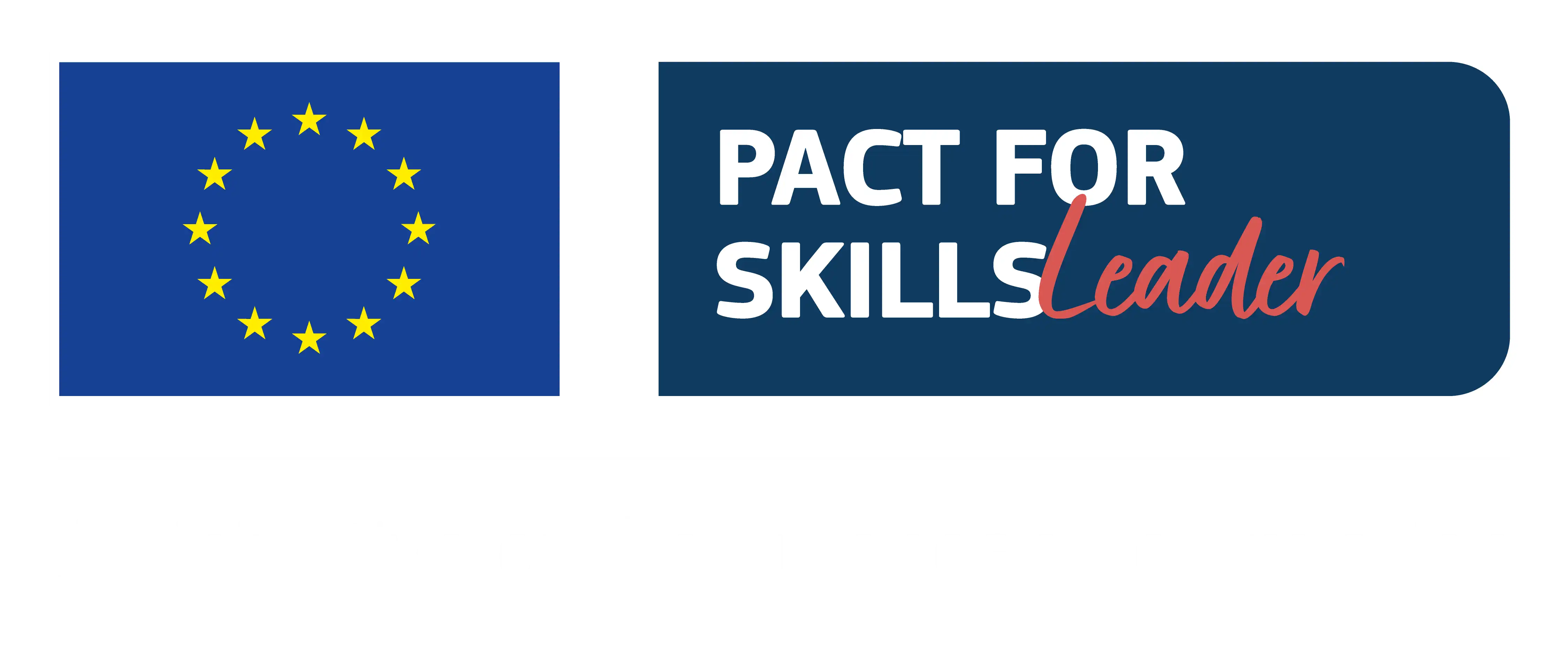 Pact for Skills — Unione Europea